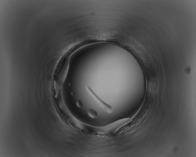 X0000097950540200804011637