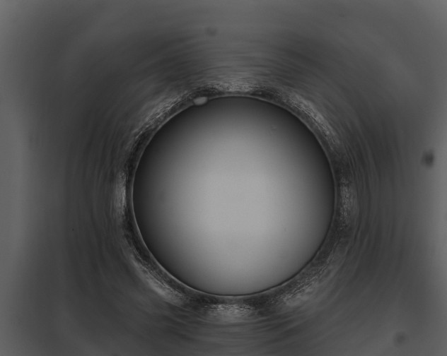 X0000097950541200804011637