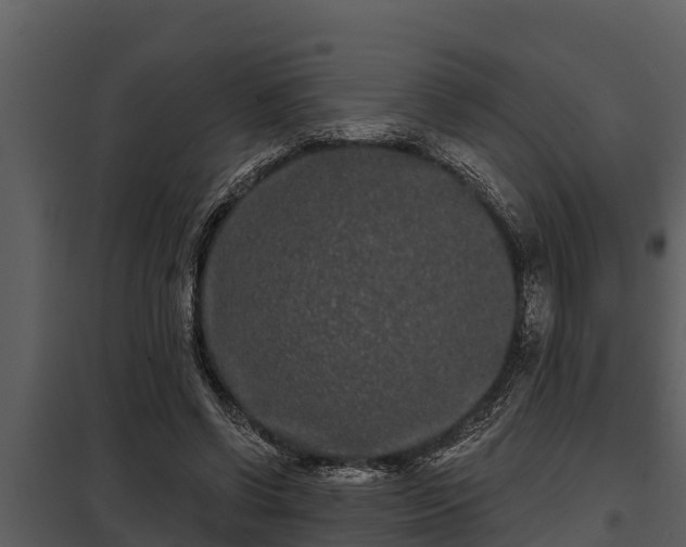 X0000097950542200804011637