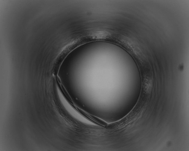 X0000097950543200804011637