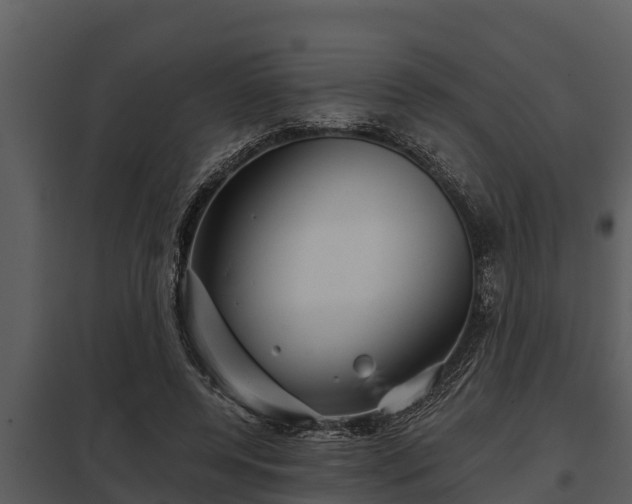 X0000097950544200804011637
