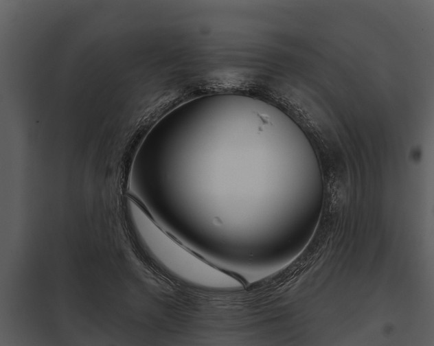X0000097950546200804011637