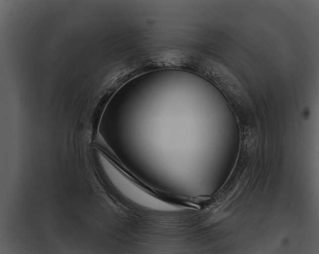 X0000097950548200804011637