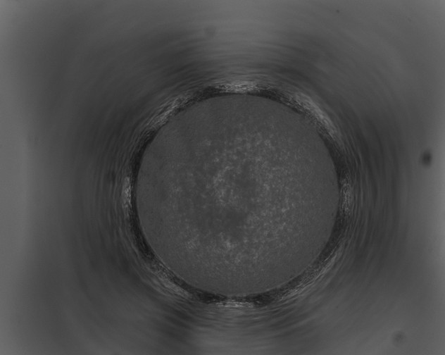 X0000097950549200804011637