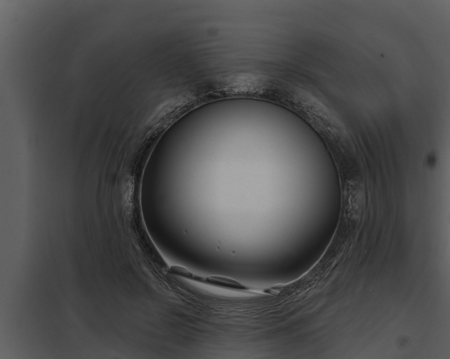 X0000097950550200804011637