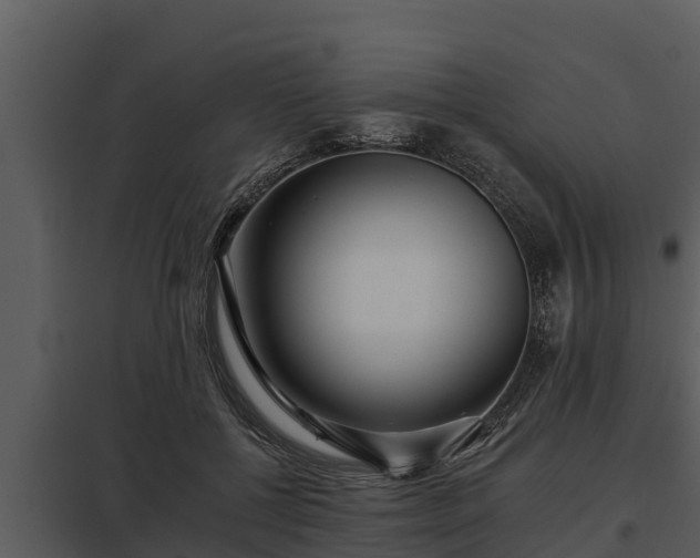 X0000097950552200804011637