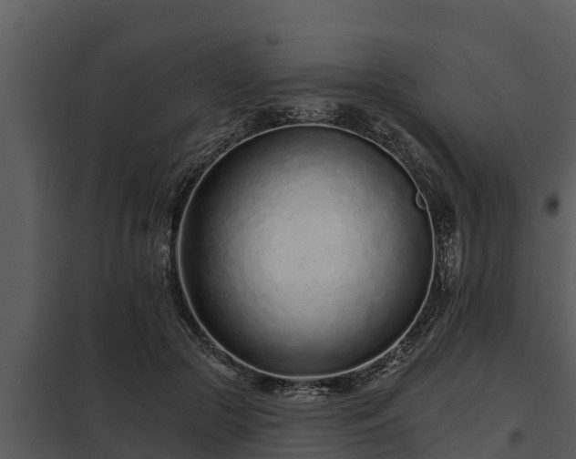 X0000097950553200804011637