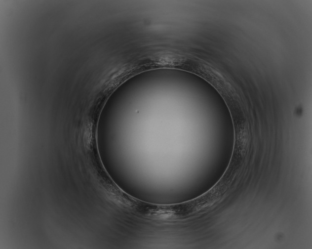 X0000097950554200804011637