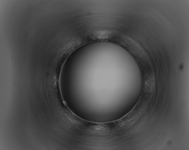 X0000097950555200804011637