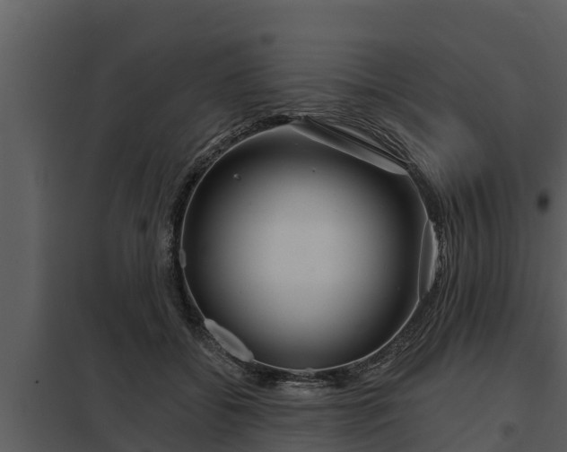 X0000097950556200804011637