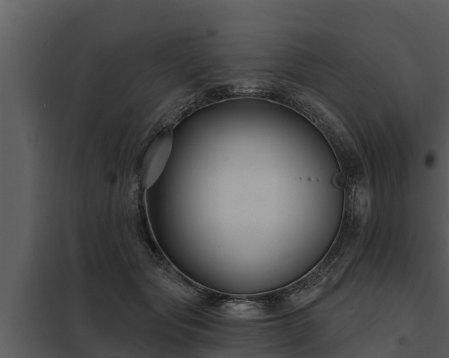 X0000097950557200804011637