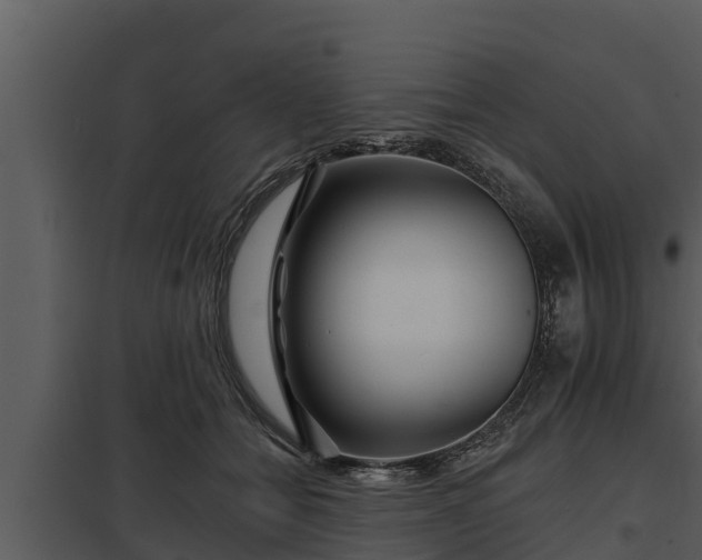 X0000097950558200804011637