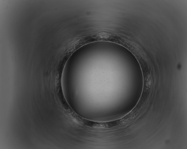 X0000097950559200804011637