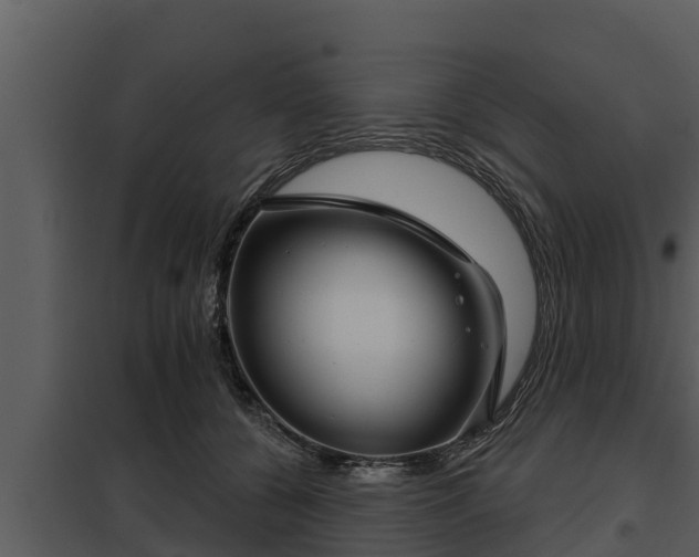 X0000097950560200804011637