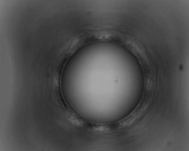 X0000097950561200804011637
