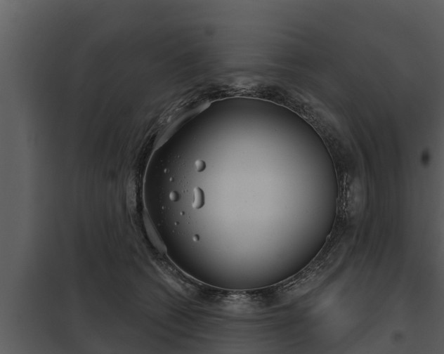 X0000097950562200804011637