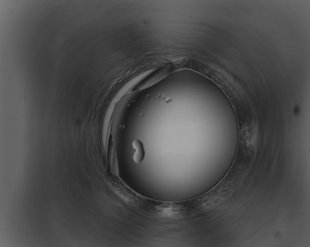 X0000097950564200804011637