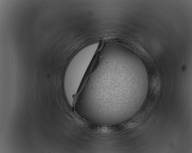 X0000097950565200804011637