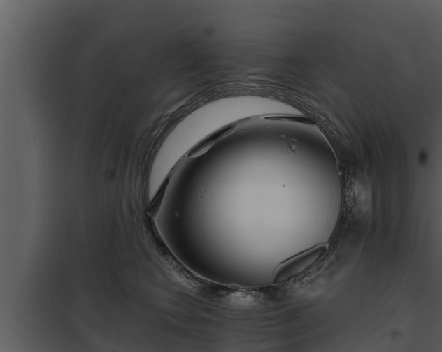 X0000097950566200804011637