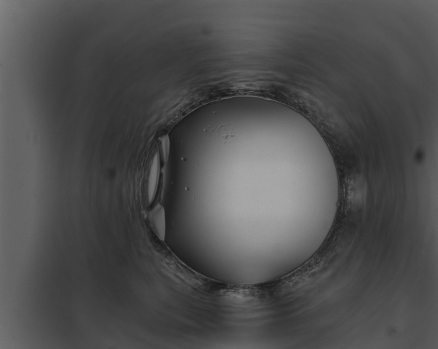 X0000097950567200804011637