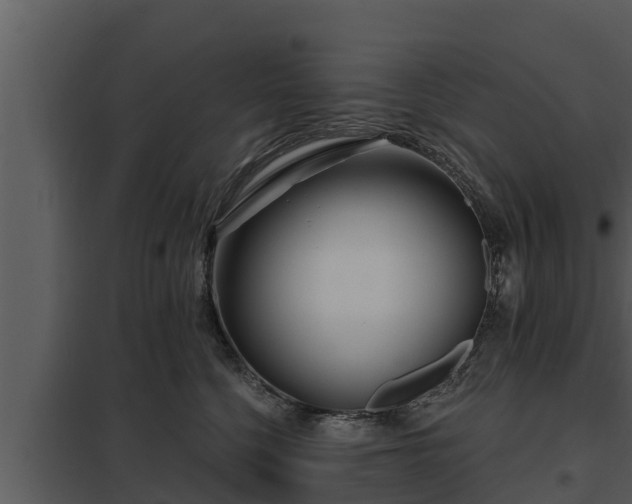 X0000097950568200804011637