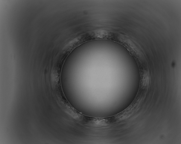 X0000097950569200804011637