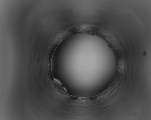 X0000097950571200804011637