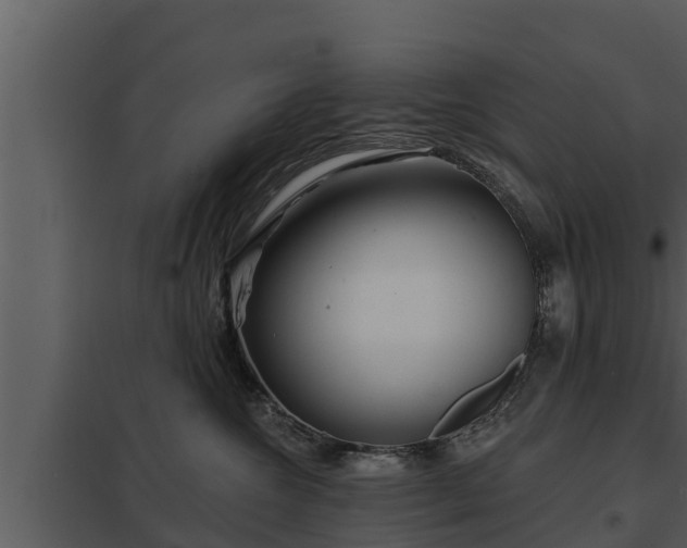 X0000097950572200804011637