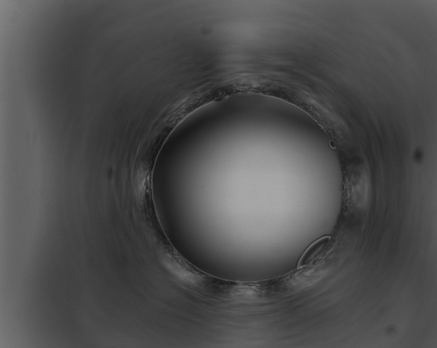 X0000097950574200804011637