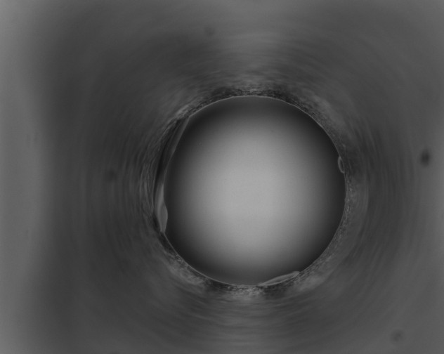 X0000097950576200804011637
