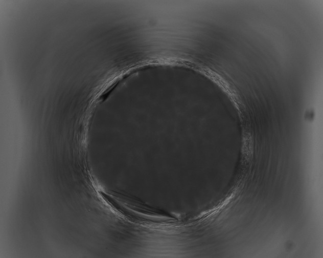 X0000097950577200804011637