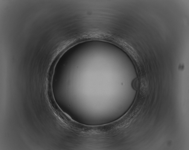 X0000097950578200804011637