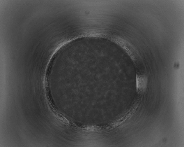 X0000097950579200804011637