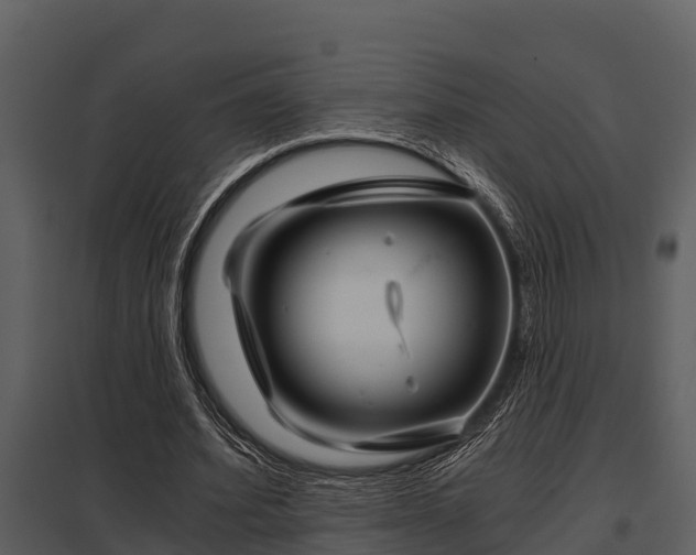 X0000097950580200804011637