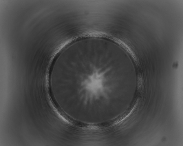 X0000097950581200804011637