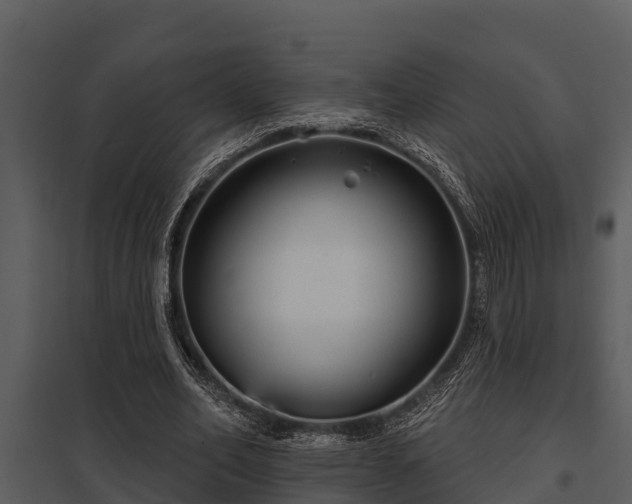 X0000097950582200804011637