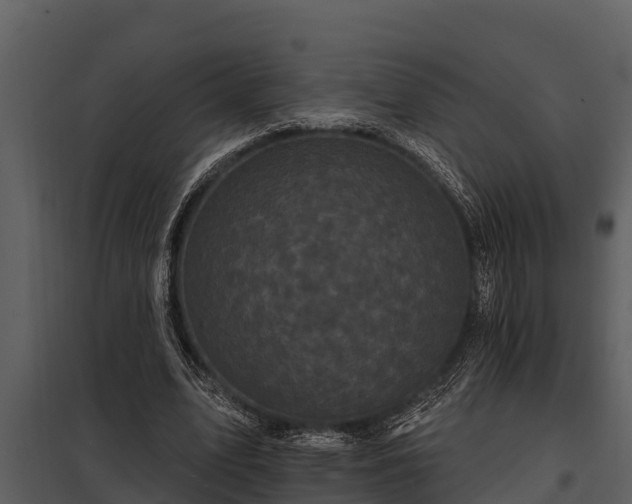 X0000097950583200804011636