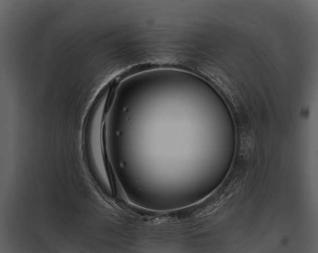 X0000097950584200804011636