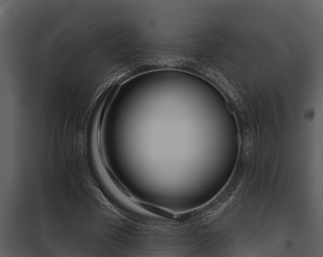 X0000097950585200804011636