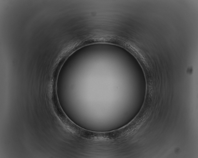X0000097950586200804011636