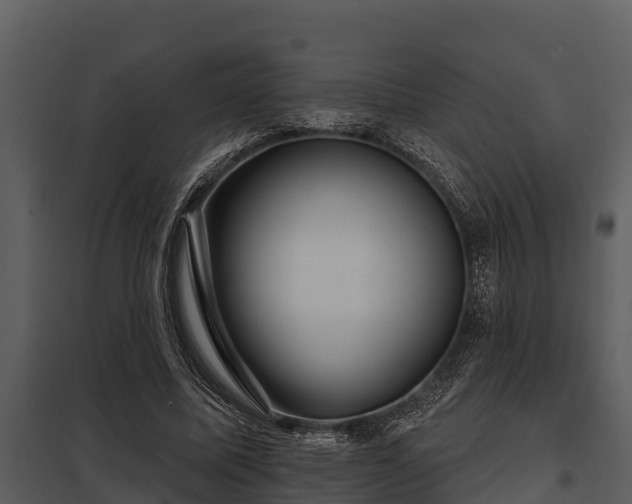 X0000097950587200804011636