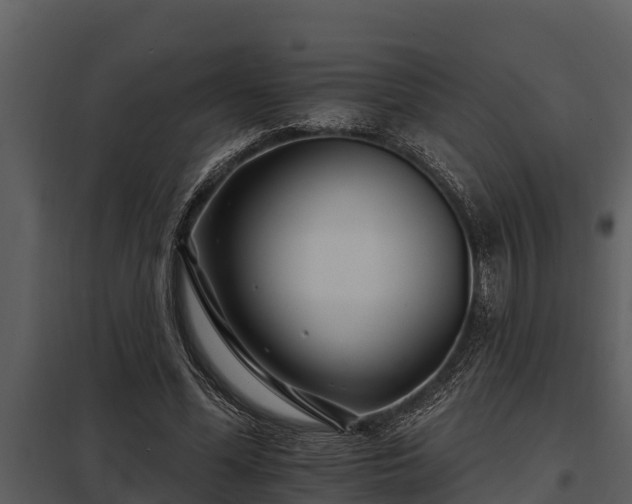 X0000097950588200804011636
