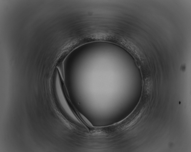 X0000097950589200804011636