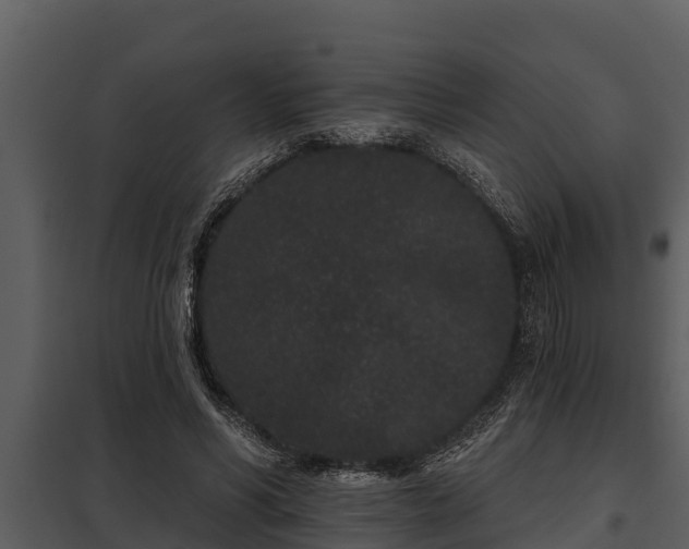 X0000097950590200804011636
