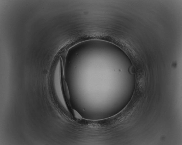 X0000097950591200804011636