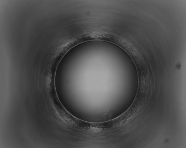 X0000097950592200804011636