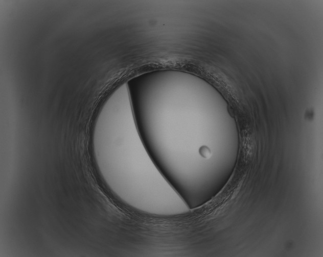 X0000097950593200804011636
