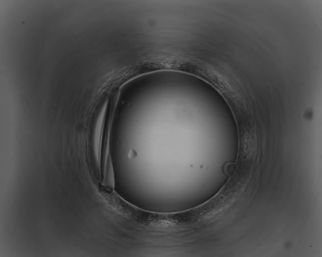 X0000097950594200804011636