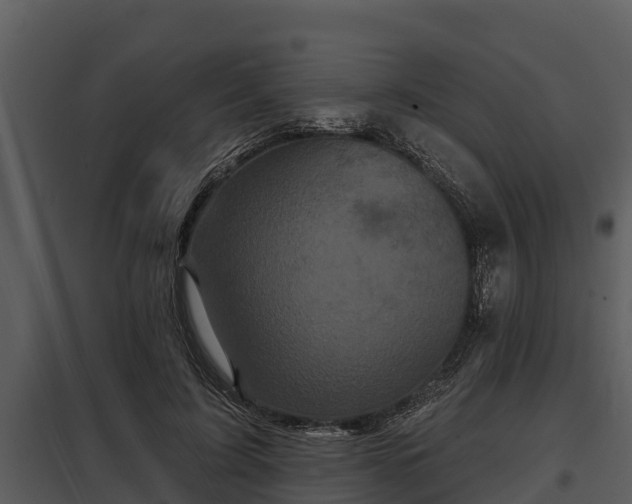 X0000097950595200804011636