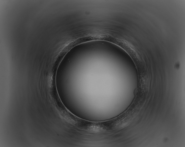 X0000097950596200804011636